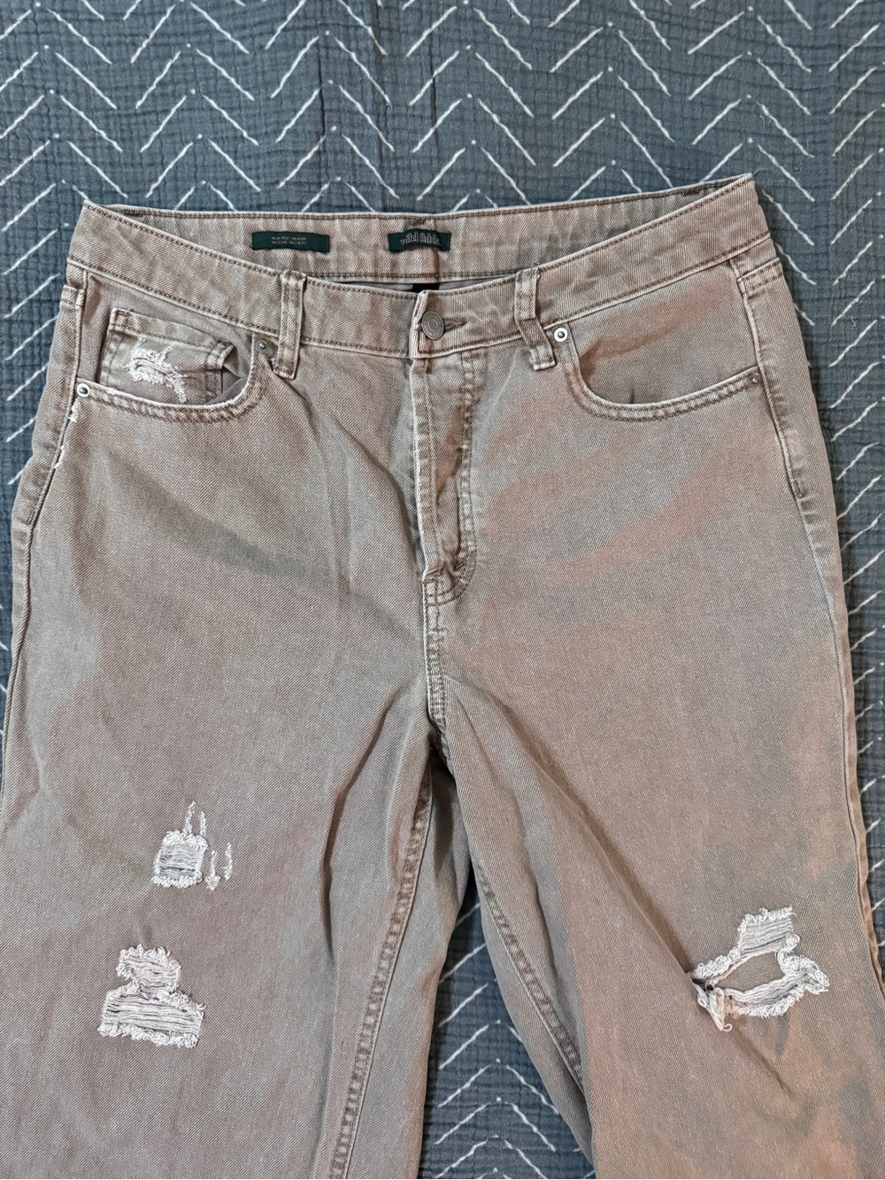 wild fable Straight Leg Jeans